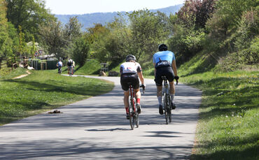 Radeln im Rems-Murr-Kreis kann auf der richtigen Strecke ein wahres Vergnügen sein. Vor allem jetzt im Frühling.