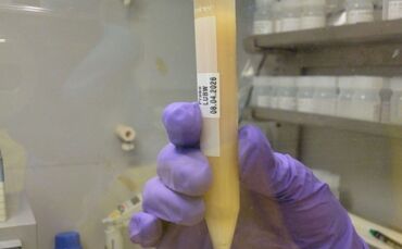 Substanz aus dem Behälter mit der Aufschrift "Polonium 210"