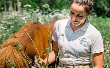 Ponylina: Lina Heim mit einem ihrer Shetlandponys.