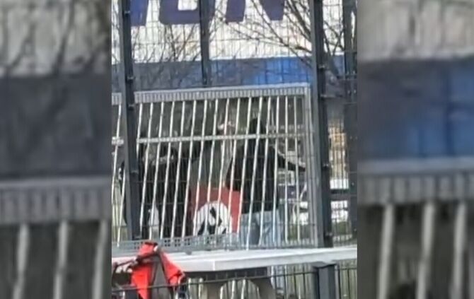 Das Video, das unserer Redaktion vorliegt, zeigt insgesamt vier mutmaßlich männliche Personen: Drei posieren mit Hakenkreuz-Flag