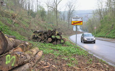 Nach dem tödlichem Baumsturz ist die Klinglestalstraße bei Neustadt wieder frei. Viele Bäume wurden gerodet.