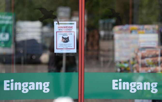 Katze "Lotti" lebt in Baumarkt