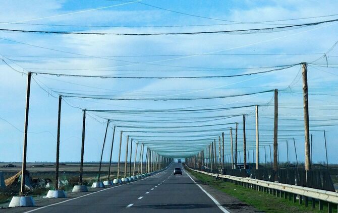 Ukraine-Krieg - Cherson