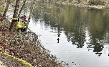 Die Wasserrettungseinheit kam dem Kauz zu Hilfe.