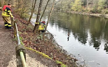 Feuerwehrleute retten Kauz vor Erstickungstod