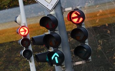 Ameisen legen eine Ampelsteuerung lahm. (Archivbild)