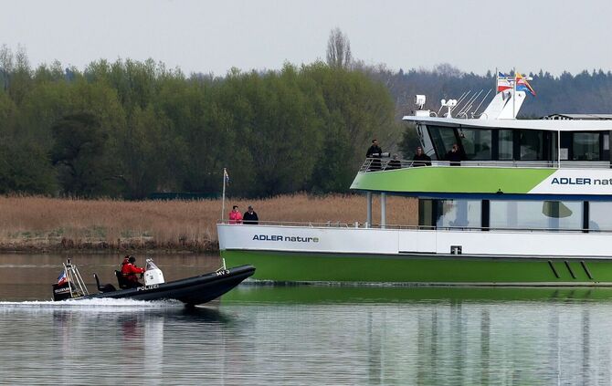 Buckelwal liegt in Wismarer Bucht