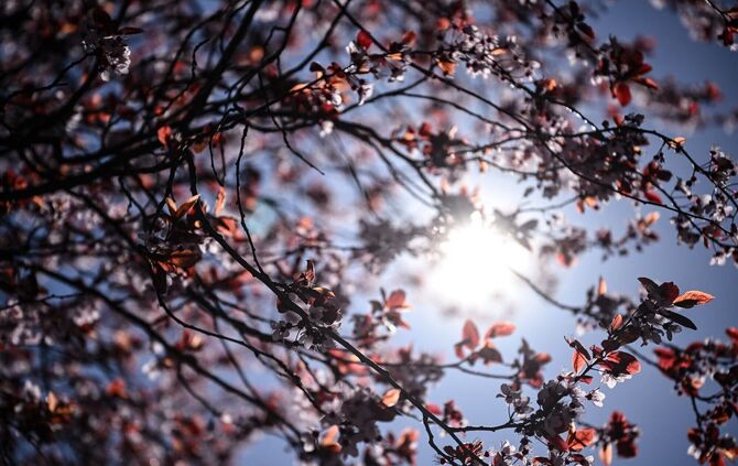 Bevor es zur kommenden Woche wieder ungemütlich wird, scheint nochmal kräftig die Sonne. (Archivbild)