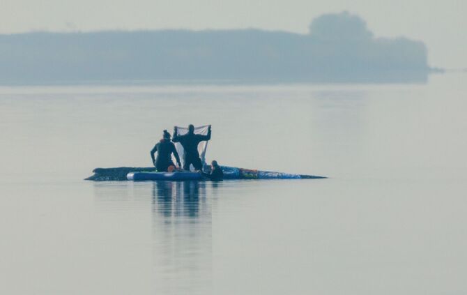 Rettungsaktion für den Buckelwal