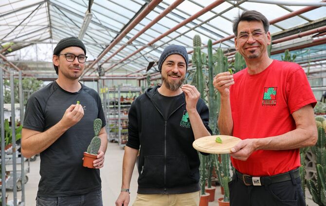 Johannes, Tobias und Matthias Uhlig probieren einen Kaktus.