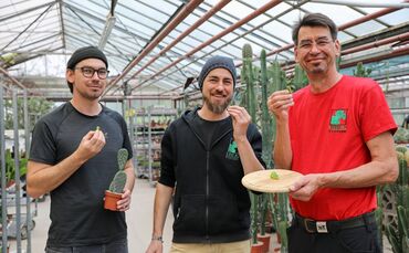 Johannes, Tobias und Matthias Uhlig probieren einen Kaktus.