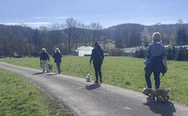 Mit Hund und ausreichend Abstand beim "Social Walk".