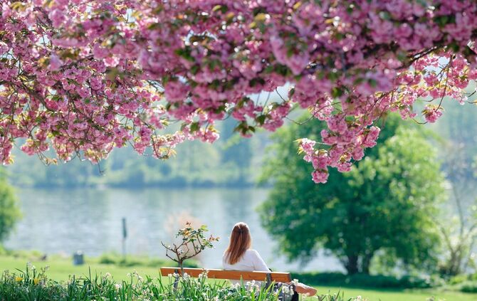 Frühling in Baden-Württemberg