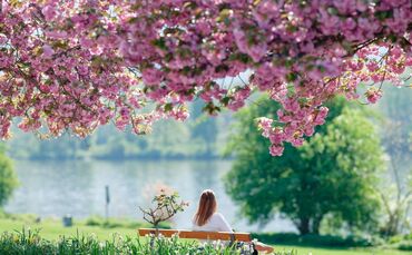 Frühling in Baden-Württemberg