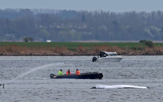 Rettungsaktion für den Buckelwal