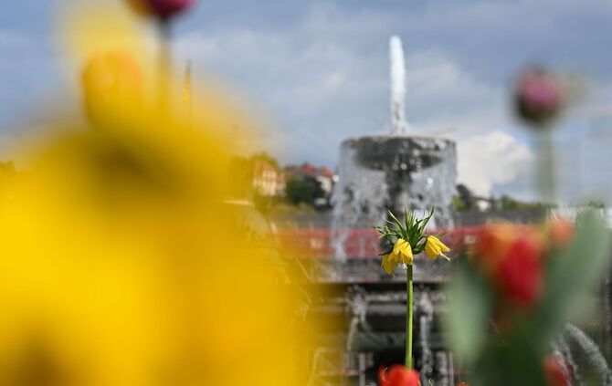 Wetter in Baden-Württemberg