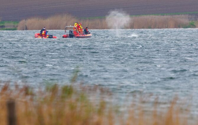 Gestrandeter Buckelwal ist geschwommen