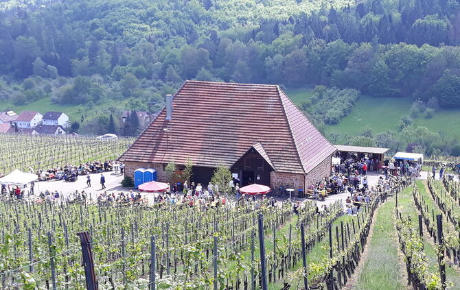 Die Freiwillige Feuerwehr Winnenden feiert ihr traditionelles Maifest an der Hanweiler Kelter inmitten der Weinberge.