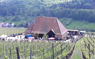 Die Freiwillige Feuerwehr Winnenden feiert ihr traditionelles Maifest an der Hanweiler Kelter inmitten der Weinberge.