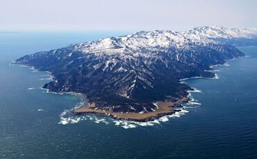 Starkes Erdbeben erschüttert Japan