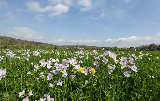 Wetter in Baden-Württemberg