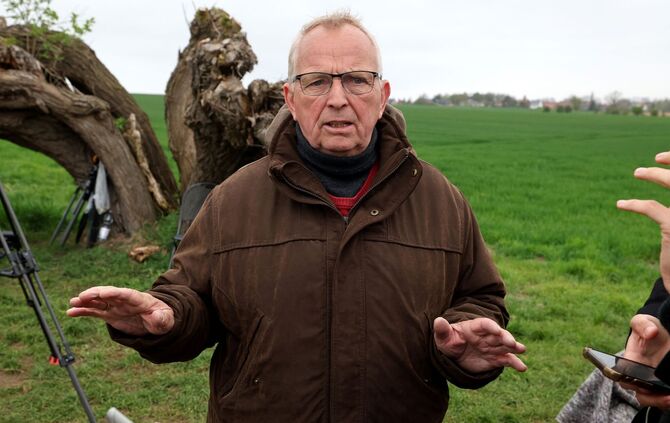 Rettungsaktion für den Buckelwal