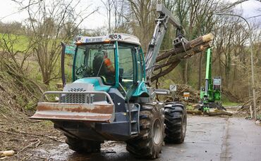 In Waiblingen-Neustadt wurden nach dem Unfall viele Bäume gefällt (Archivfoto). Nun ist die Straße zwischen Hohenacker und Hegna