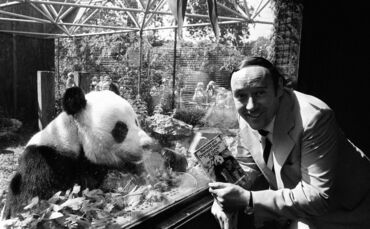 Britischer Zoologe Desmond Morris gestorben