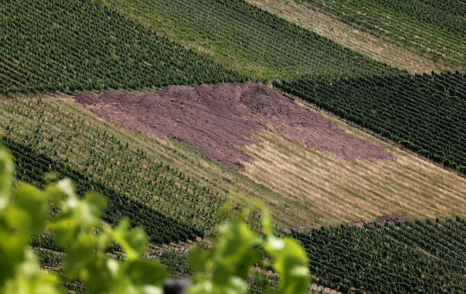 Brachliegende Weinbergfläche.