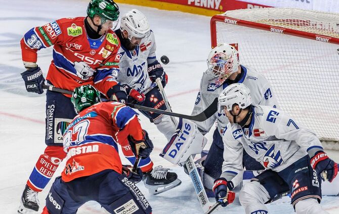 Eisbären Berlin - Adler Mannheim