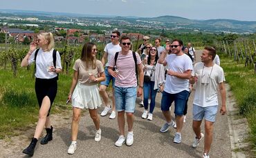 Ausgelassene Stimmung beim "Walk of Wine" in Fellbach.