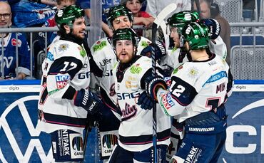 Adler Mannheim - Eisbären Berlin