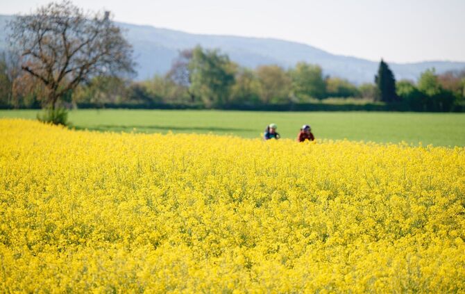 Laut Vorhersagen erreichen die Temperaturen am Samstag bis zu 23 Grad, im Rheintal können es auch jenseits 25 Grad werden. (Arch
