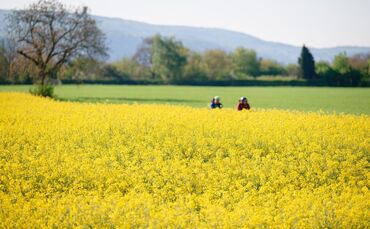 Laut Vorhersagen erreichen die Temperaturen am Samstag bis zu 23 Grad, im Rheintal können es auch jenseits 25 Grad werden. (Arch