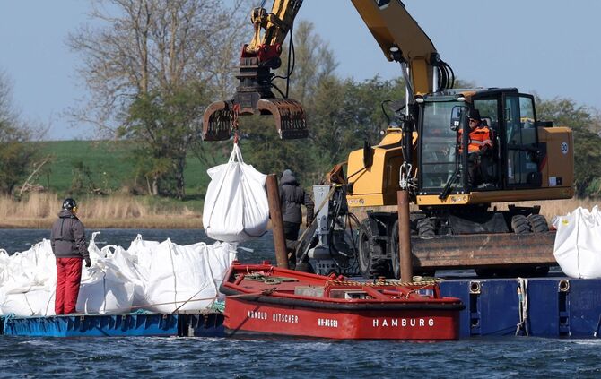Rettungsaktion für den Buckelwal