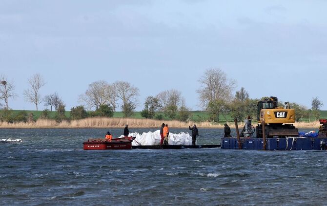Rettungsaktion für den Buckelwal