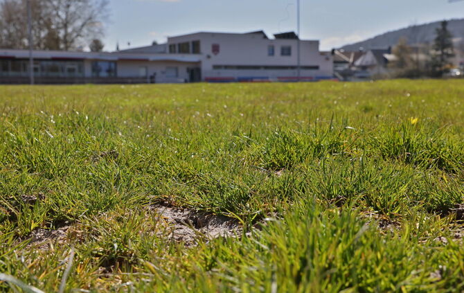 Löcher im Rasenplatz des VfR Birkmannsweiler an der Talaue. Der Verein steht mit seinem Wunsch nach einem Kunstrasenplatz bei de