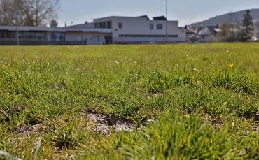 Löcher im Rasenplatz des VfR Birkmannsweiler an der Talaue. Der Verein steht mit seinem Wunsch nach einem Kunstrasenplatz bei de