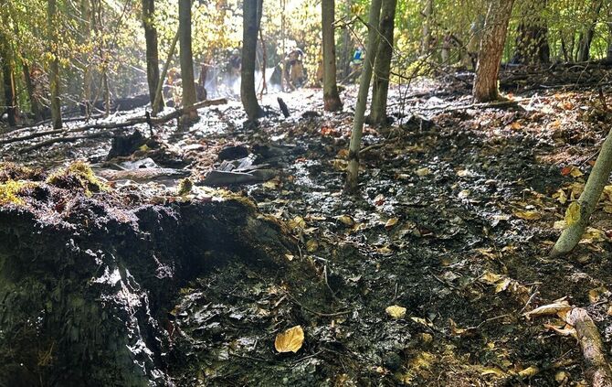 Verbrannter Waldboden an der Einsatzstelle.