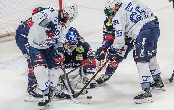 Eisbären Berlin - Adler Mannheim