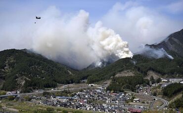 Waldbrand im Nordosten Japans