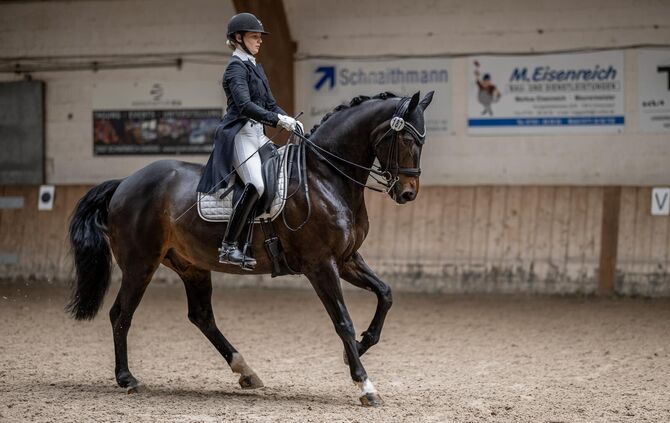Der Reit- und Fahrverein Schorndorf lädt zum großen Frühjahrsturnier ein.