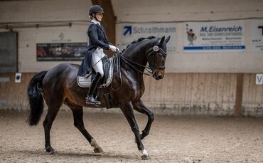 Der Reit- und Fahrverein Schorndorf lädt zum großen Frühjahrsturnier ein.