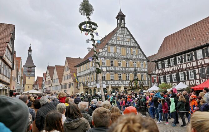 Die Maibaum-Aufstellung auf dem Winnender Marktplatz. (Archivfoto)