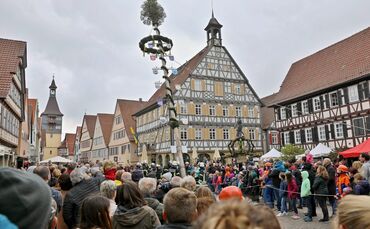 Die Maibaum-Aufstellung auf dem Winnender Marktplatz. (Archivfoto)