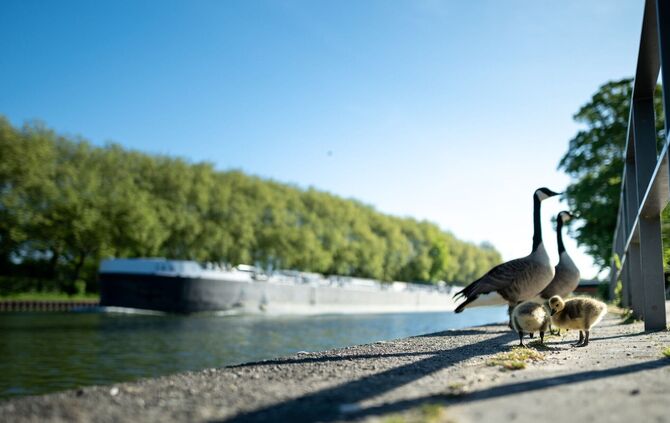 Viel Sonne und Temperaturen über 20 Grad sind in den nächsten Tagen zu erwarten.