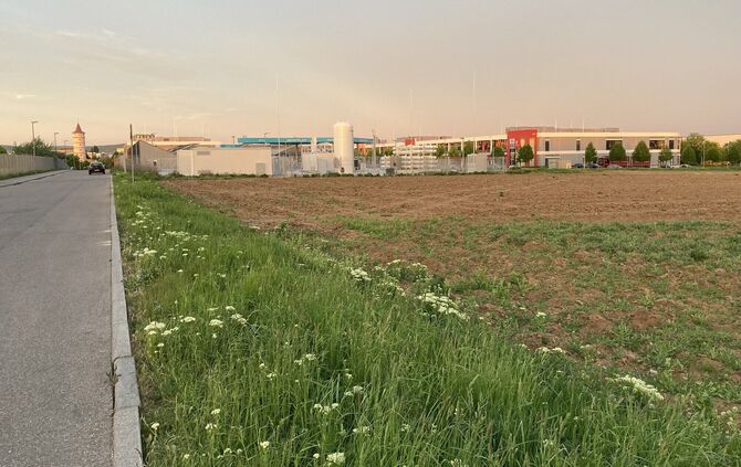 Auf dieser Ackerfläche soll die Anlage mit mobilen Unterkünften beziehungsweise Containern entstehen. Im Hintergrund die Wassers