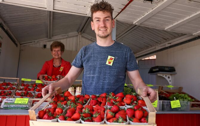 Manuel Mergenthaler präsentiert die ersten heimischen Erdbeeren am Verkaufsstand in Hegnach.