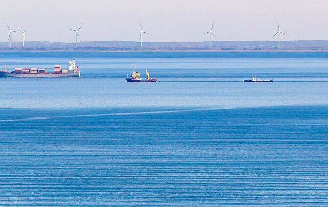 Weitere Entwicklung zum Buckelwal in der Ostsee