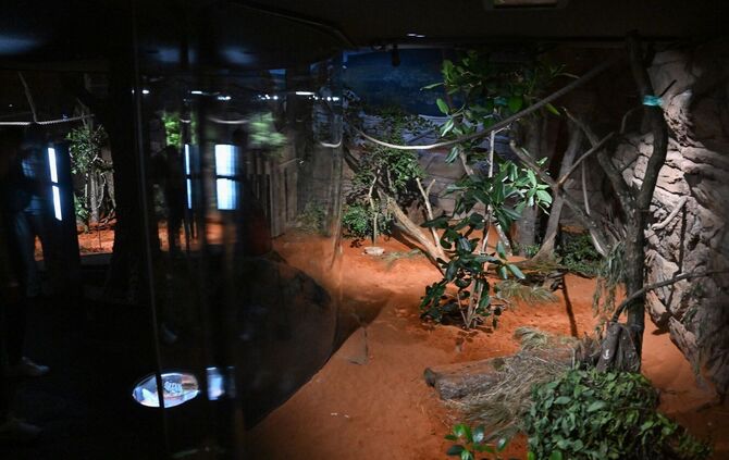 Terra Australis in der Wilhelma